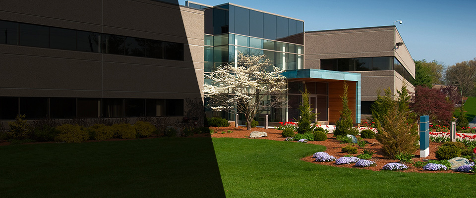 Elkton Landscapers