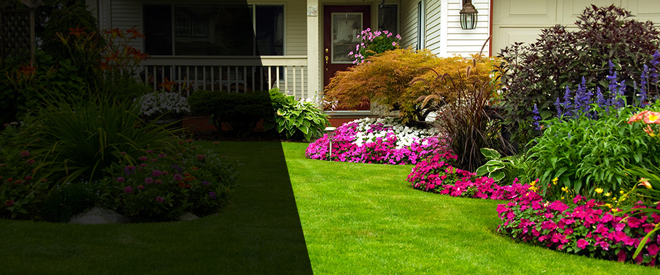 Elkton Landscapers